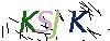 验证码